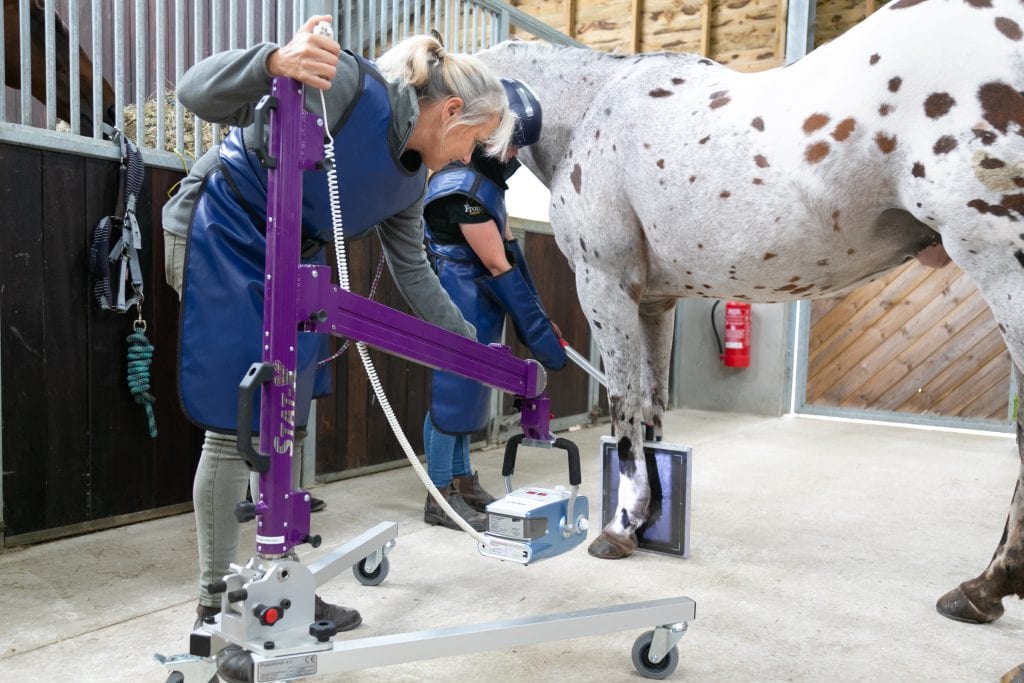 Should I insure my horse for vet fees? Horse Health Programme